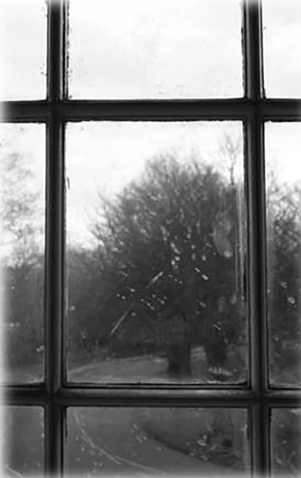 Black and white view from Larkins window of a bare tree through a multi-paned window on a gloomy, overcast day